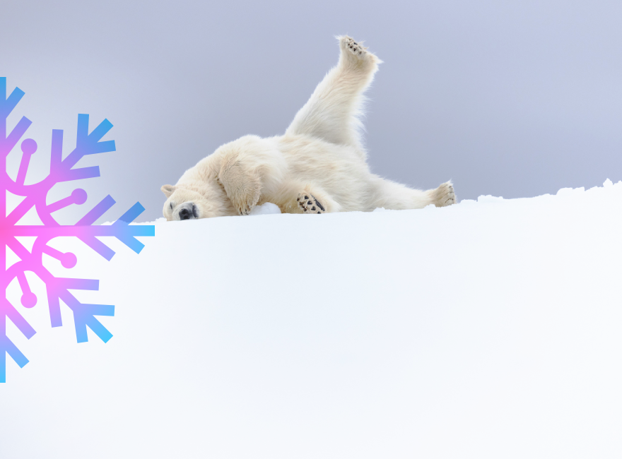 Объявлены победители конкурса «Фотограф-натуралист года»-2025: кадры с горностаями, китами, медведями, ракушками и льдами