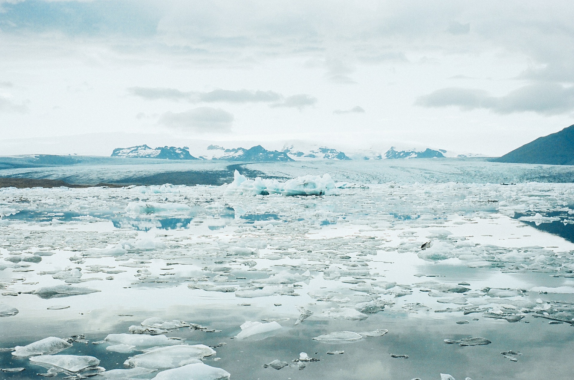 Арктика сегодня: день науки 