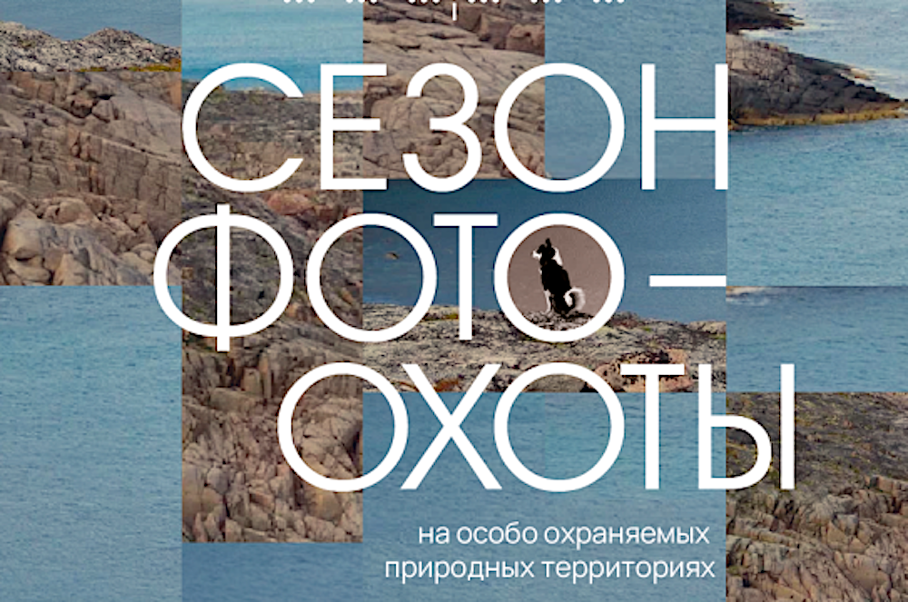 12 сентября в Национальной галерее Республики Коми откроется выставка «Сезон фотоохоты на особо охраняемых природных территориях» 12 сентября в Национальной галерее Республики Коми откроется выставка «Сезон фотоохоты на особо охраняемых природных территориях»
