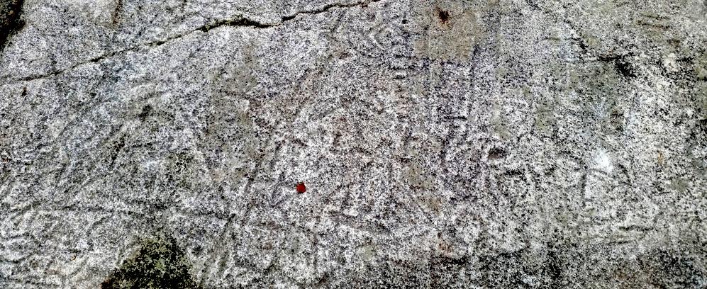 Тайны каменного века – в 3D: в Арктике создадут цифровые двойники неразгаданных петроглифов Канозера