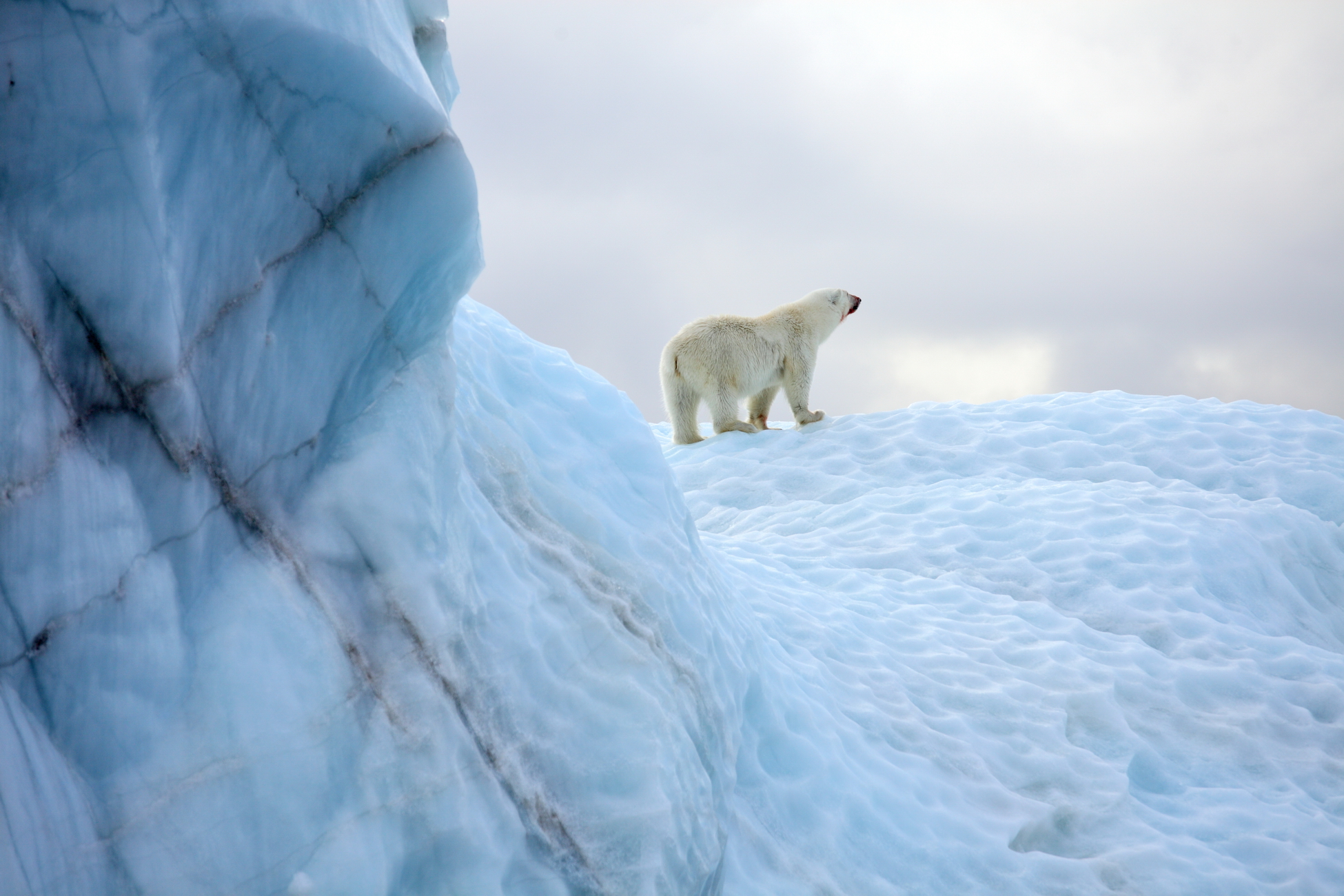 Арктика сегодня: СПГ, мост через Пур и экономия средств