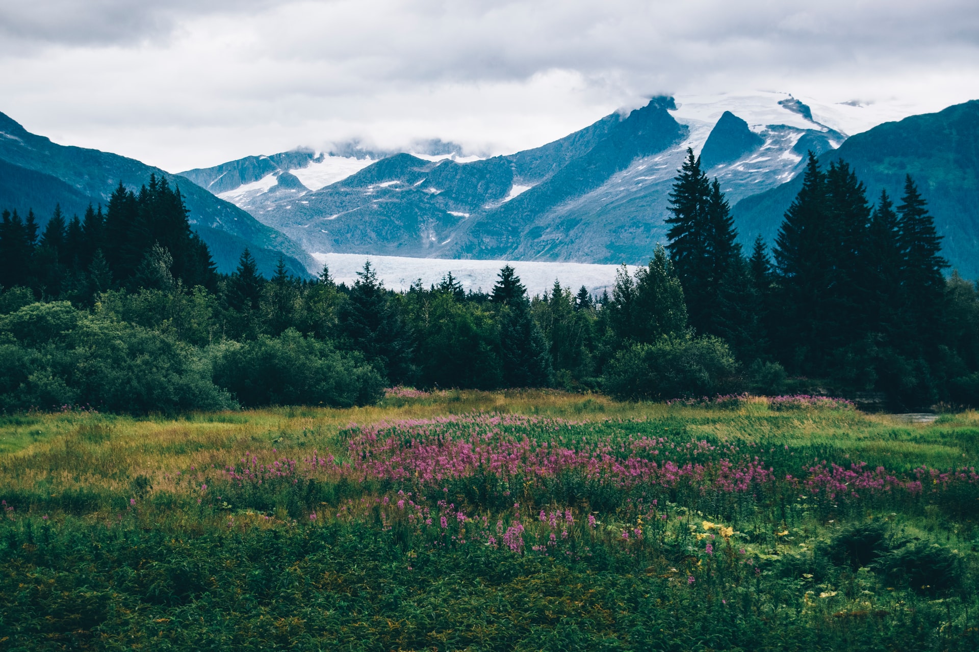 На Аляске из-за потепления климата увеличивается площадь талых зон