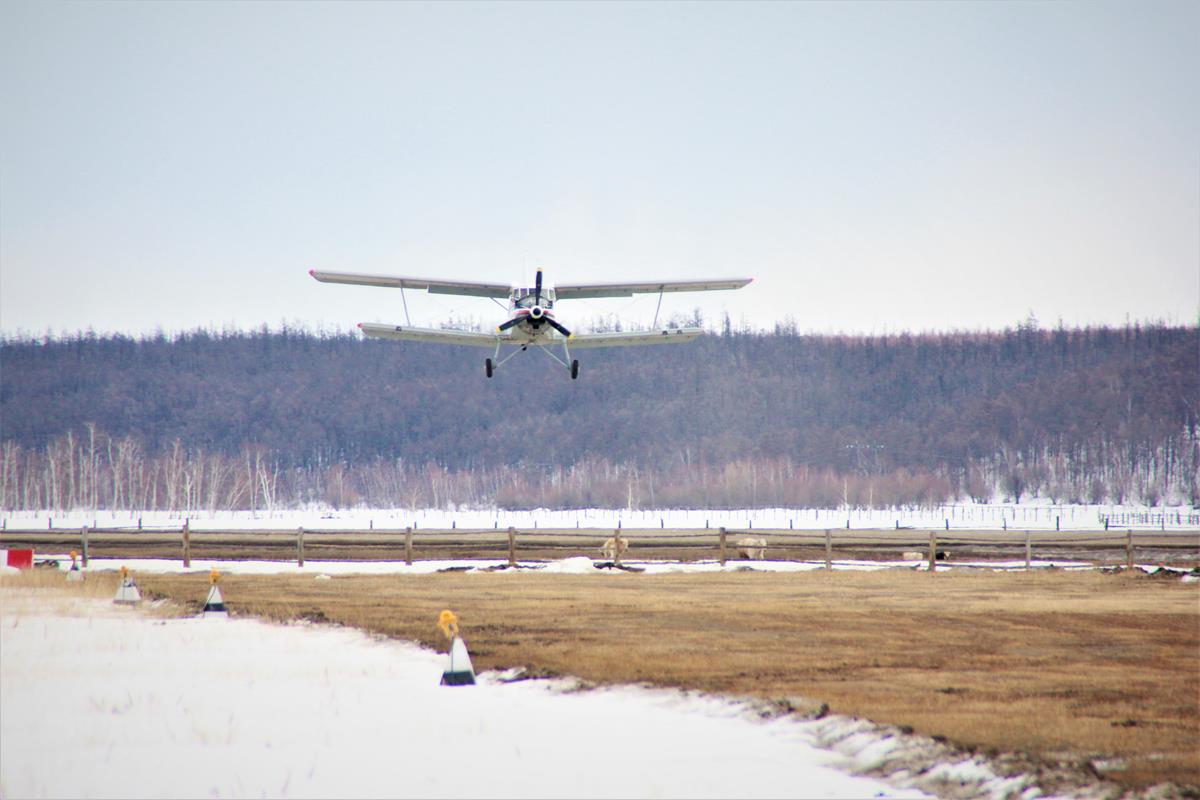 Стать на крыло: Россия возрождает Арктическую авиацию