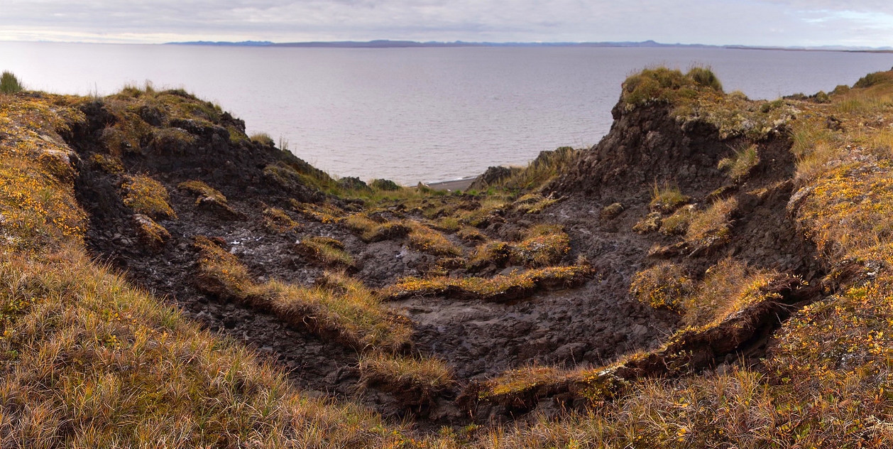 Новый резидент АЗРФ – мастерская «Арктика» – создаёт в ЯНАО инженерно-геологическую базу и планирует исследовать вечную мерзлоту