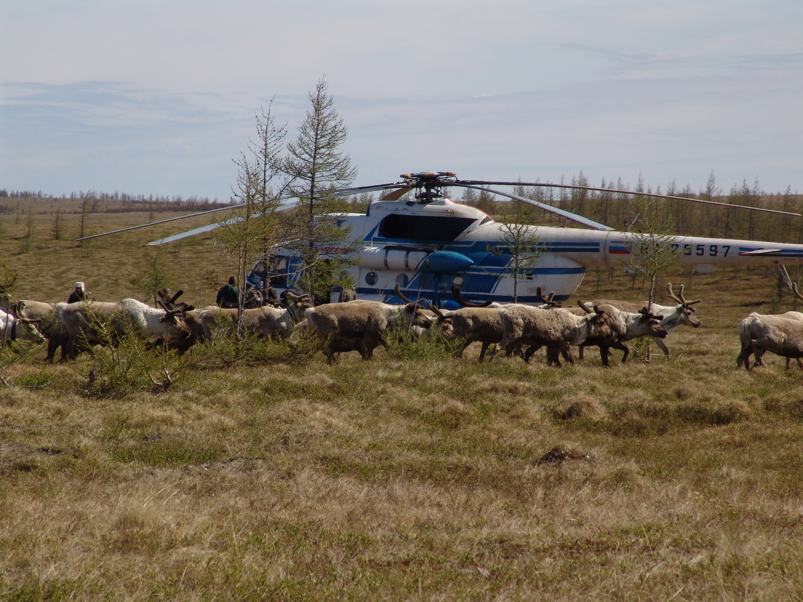 Эксперты ПОРА 21 сентября обсудят вопросы развития этнологического туризма в Арктике