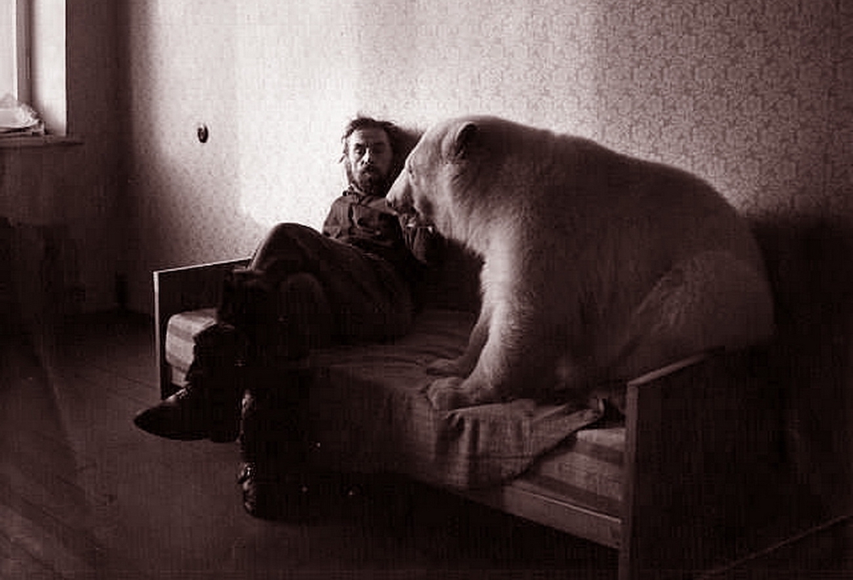 5-7 декабря в Москве пройдёт фестиваль документального кино о природе «Разумный кинематограф» с треком фильмов об Арктике