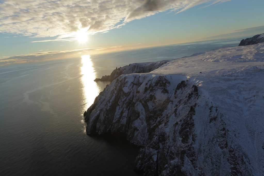 «Остров Врангеля»: первый арктический объект в списке Всемирного природного наследия ЮНЕСКО