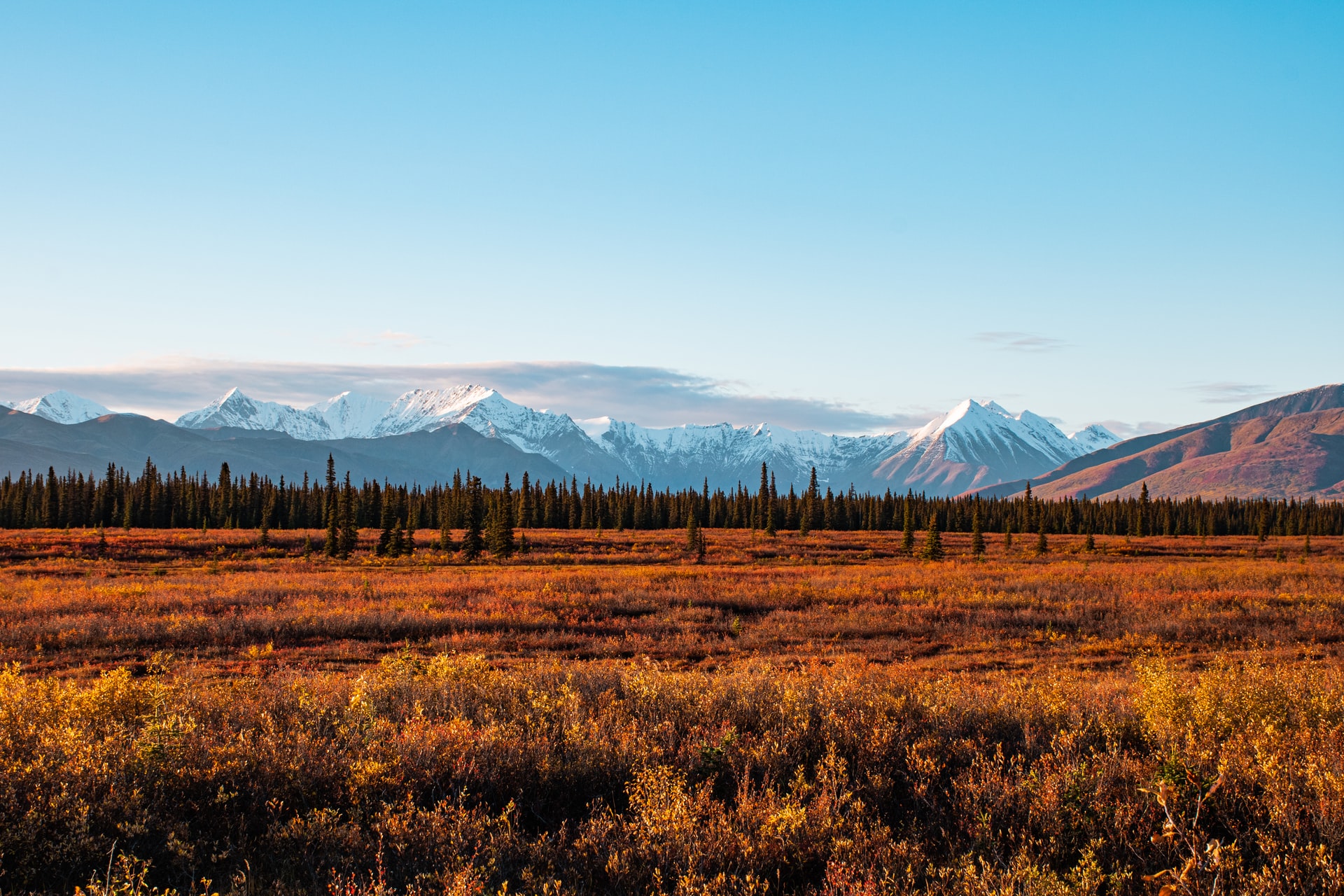 «Ренессанса» нефтедобычи на Аляске не будет