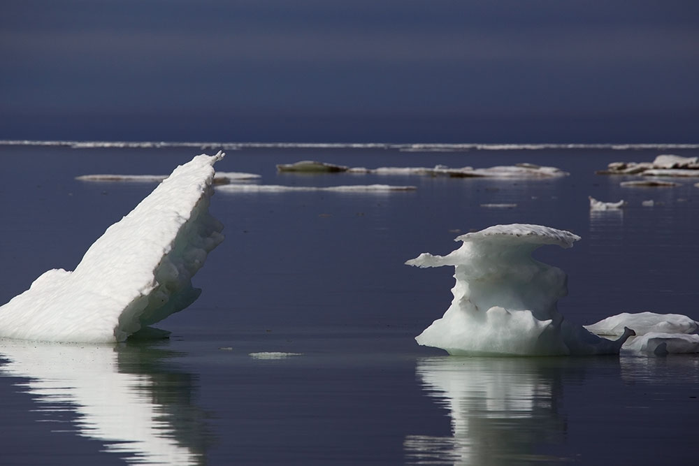 Арктика сегодня: преференции, гектары и «управленческий спецназ»