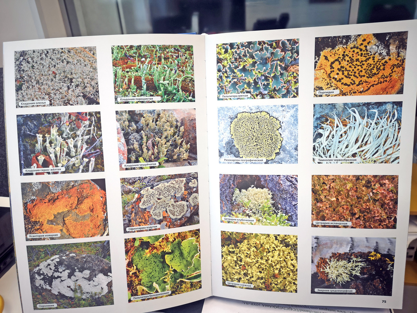 Издан научный фотоальбом о Таймырском районе