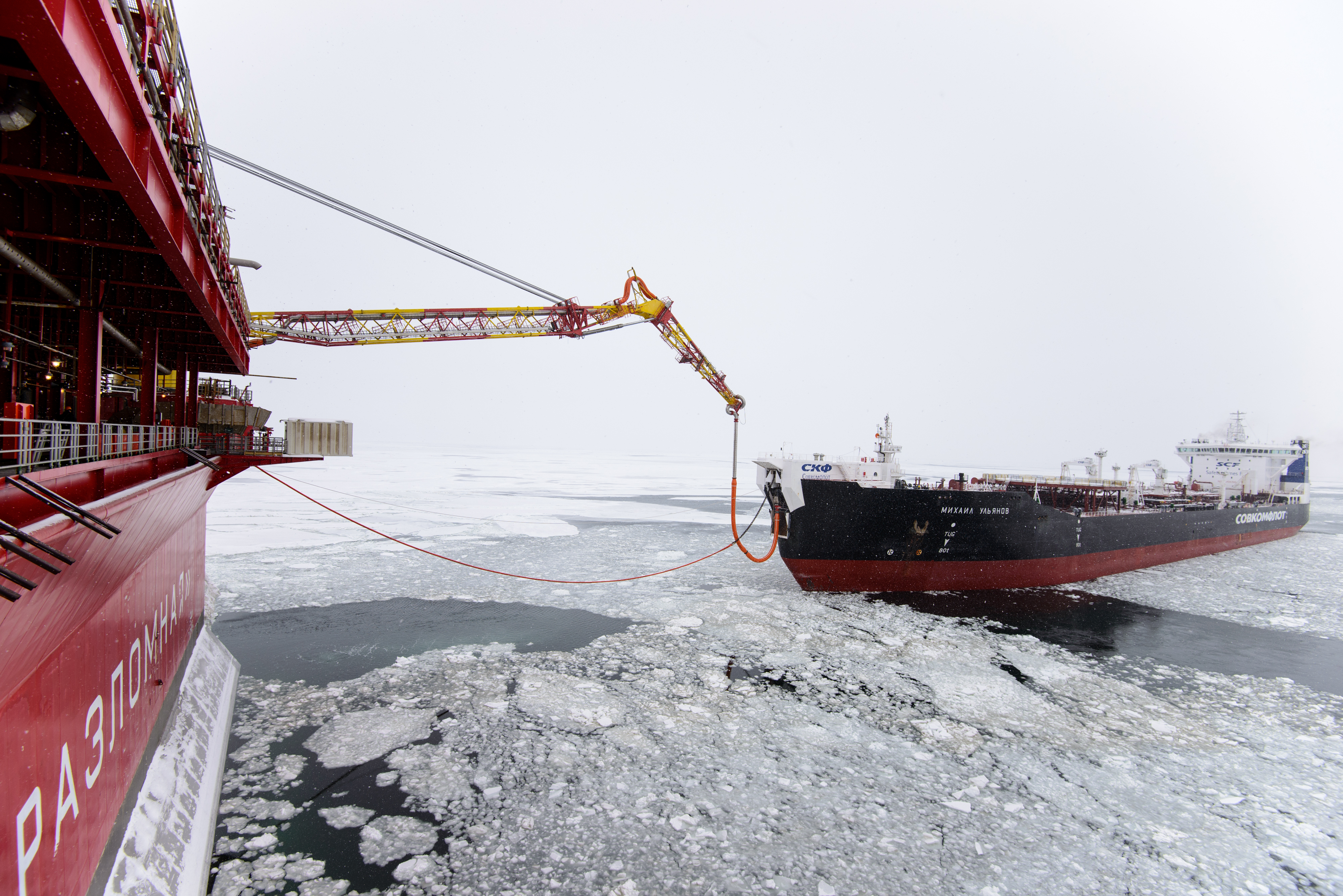 Ресурсный край: что экспортируют из российских регионов Арктики
