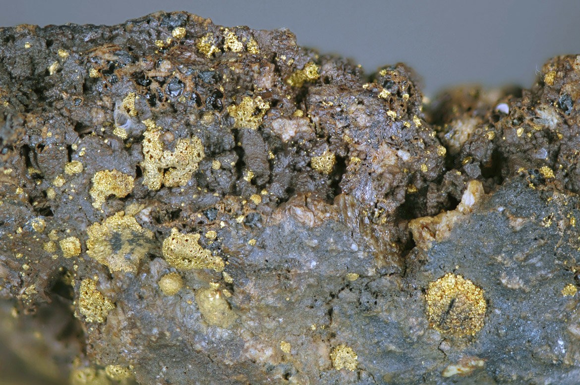 Поисковые работы на рудное золото в пределах Светлинской площади (полуостров Таймыр) (Предложение Минприроды России)
