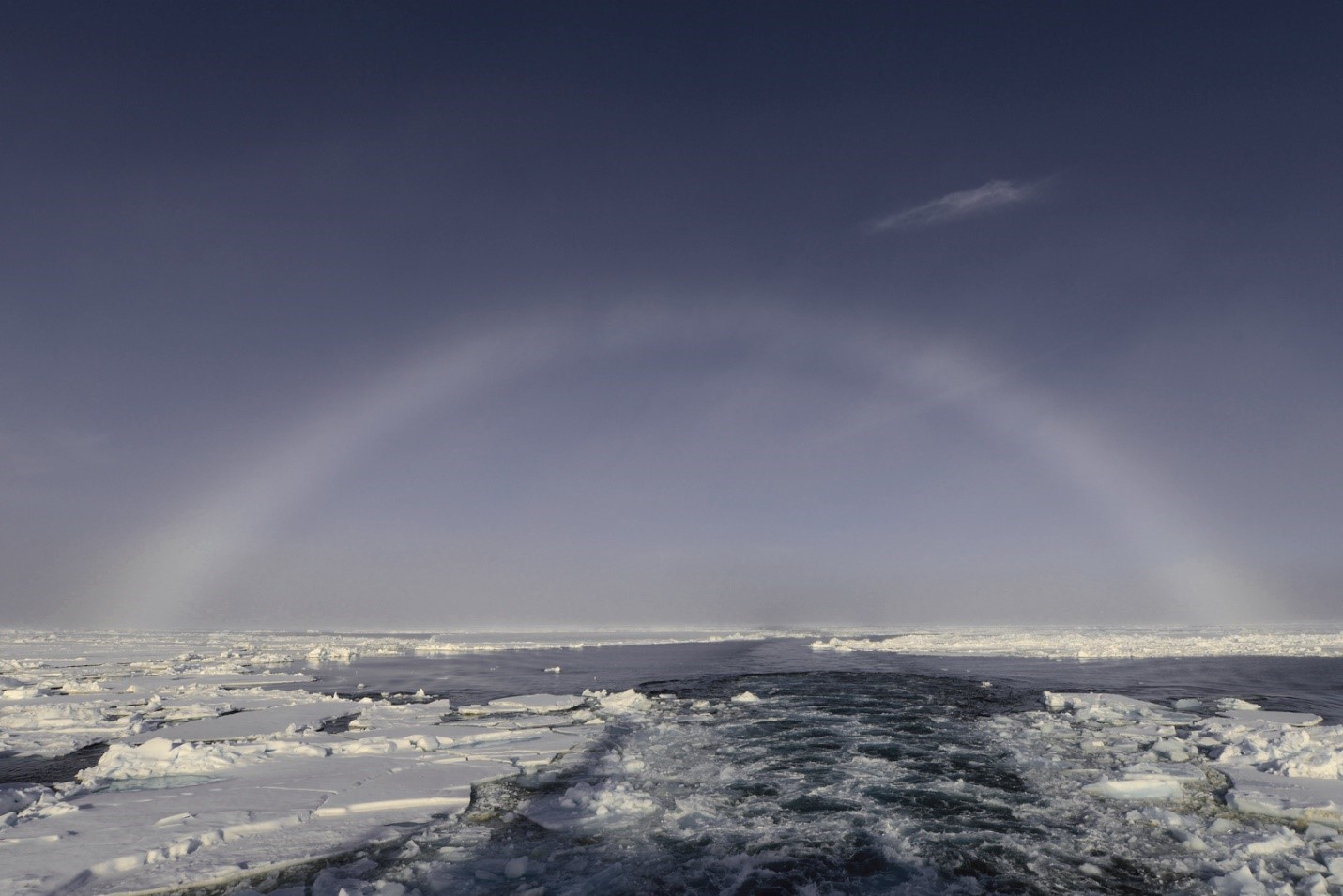 По пути на Северный полюс. Взгляд натуралиста в туманную погоду