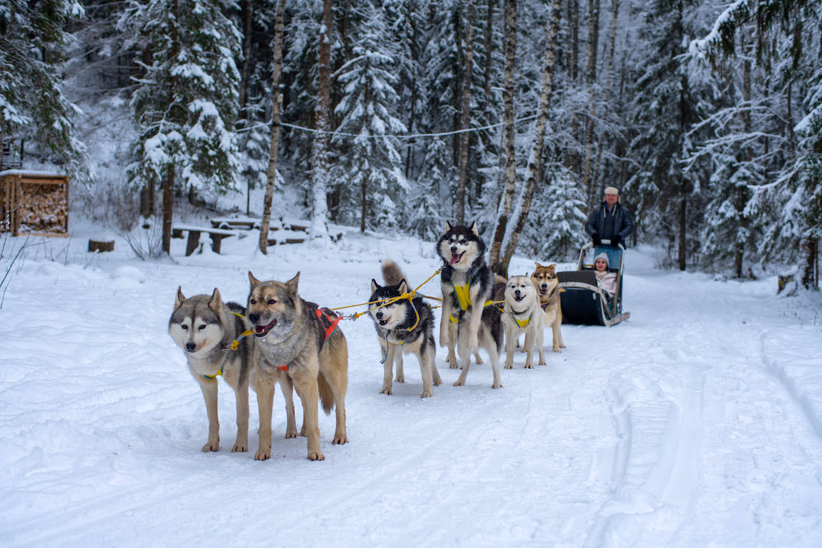 На форуме «TravelHub. Приезжай. Зима» в Санкт-Петербурге 11-13 декабря обсудят –  как продлить туристический сезон на Северо-Западе 