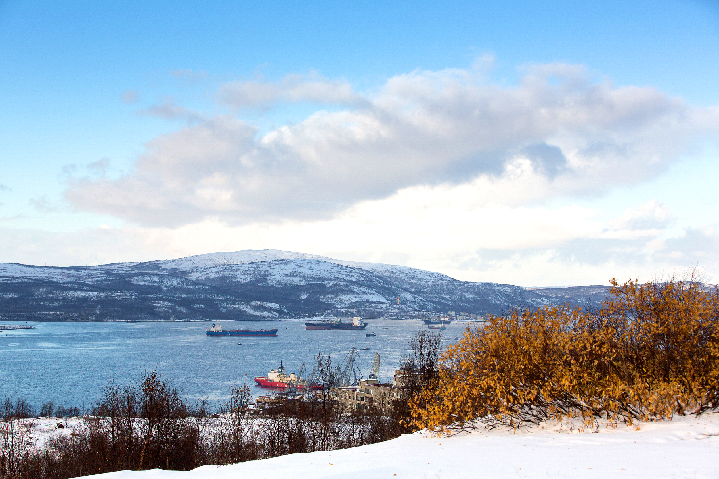 Арктические поручения правительству и губернаторам даны по итогам рабочих поездок президента в АЗРФ