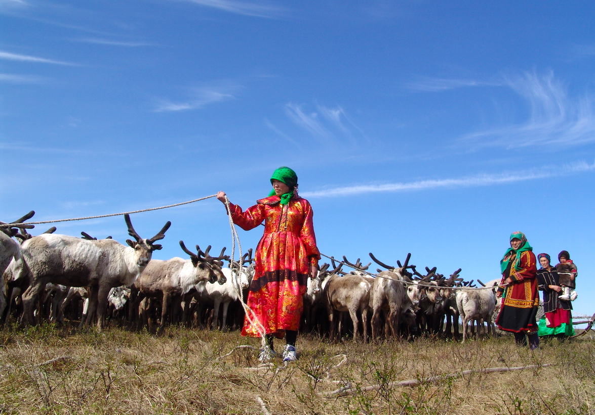 На Ямале в дорожную карту по повышению благополучия КМНС входят 33 мероприятия – от АПК и ветеринарии до образования и занятости