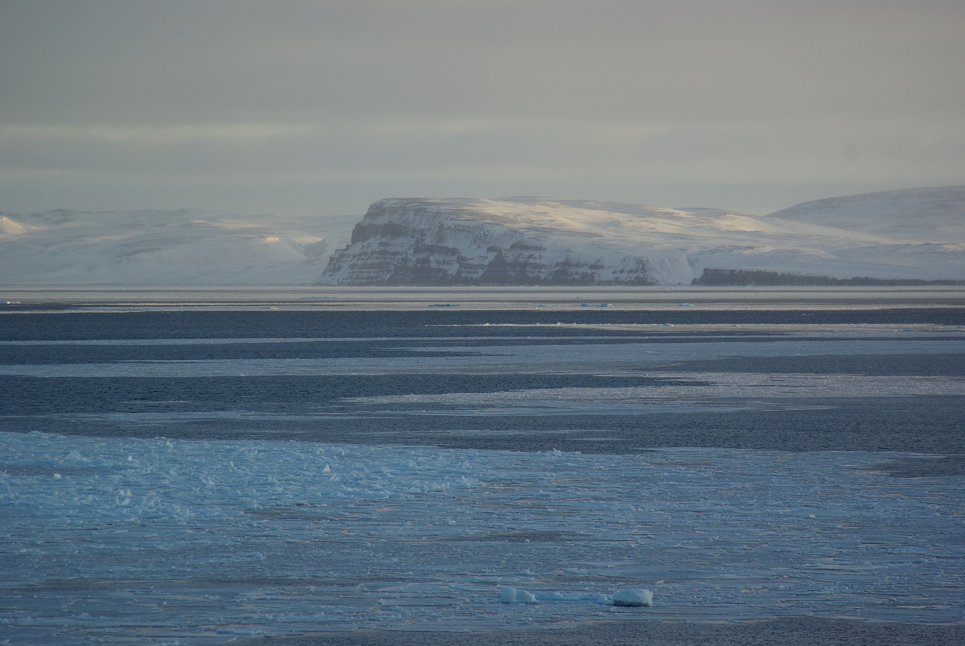 Арктика сегодня: перевалка, реагенты и Зимняя школа