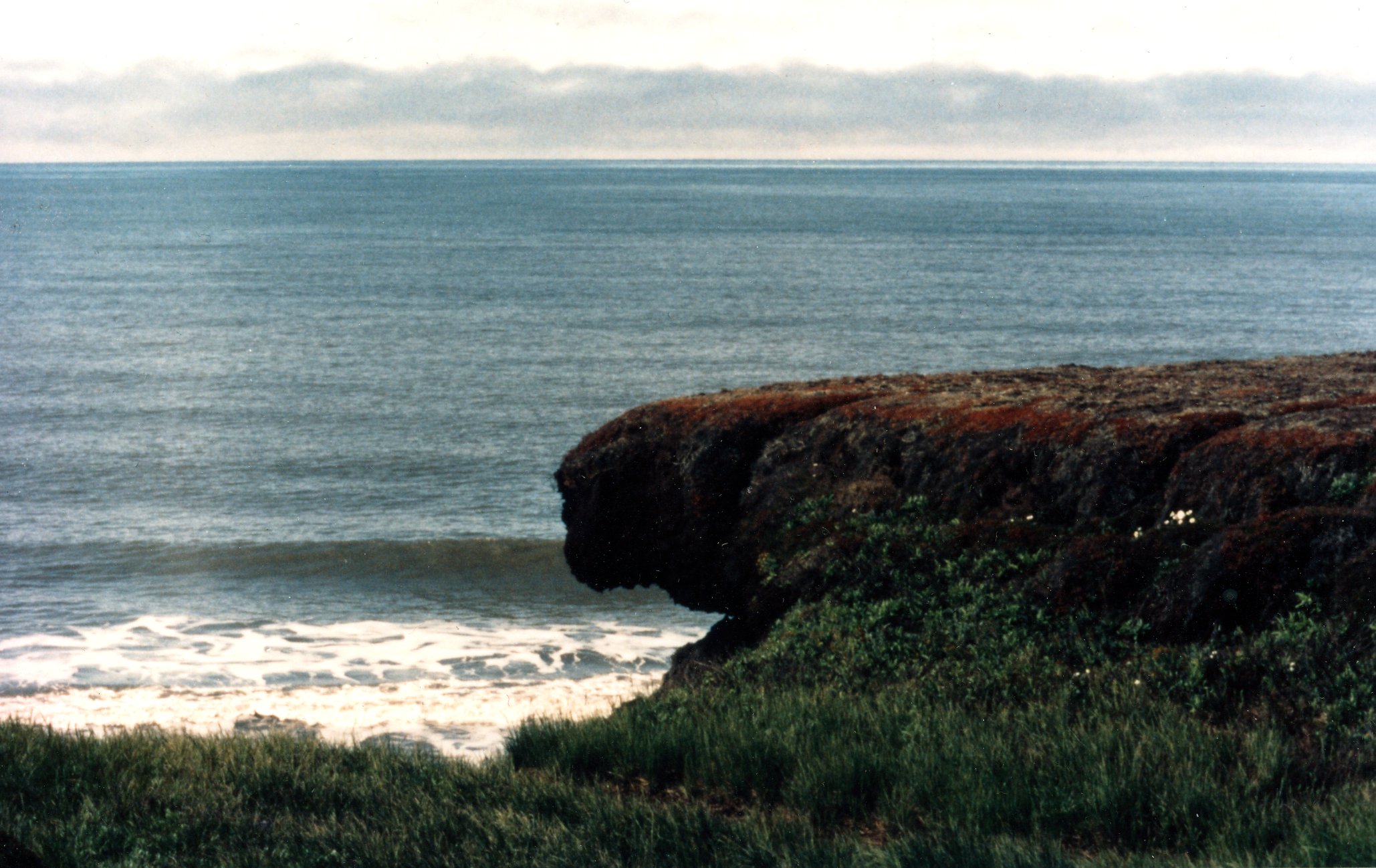 Книга «Колгуев. Путешествие на крыльях времени» представлена в Нарьян-Маре