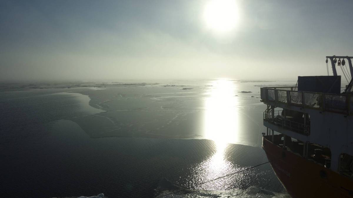 Ученые нашли «углеродный конвейер» в Ледовитом океане