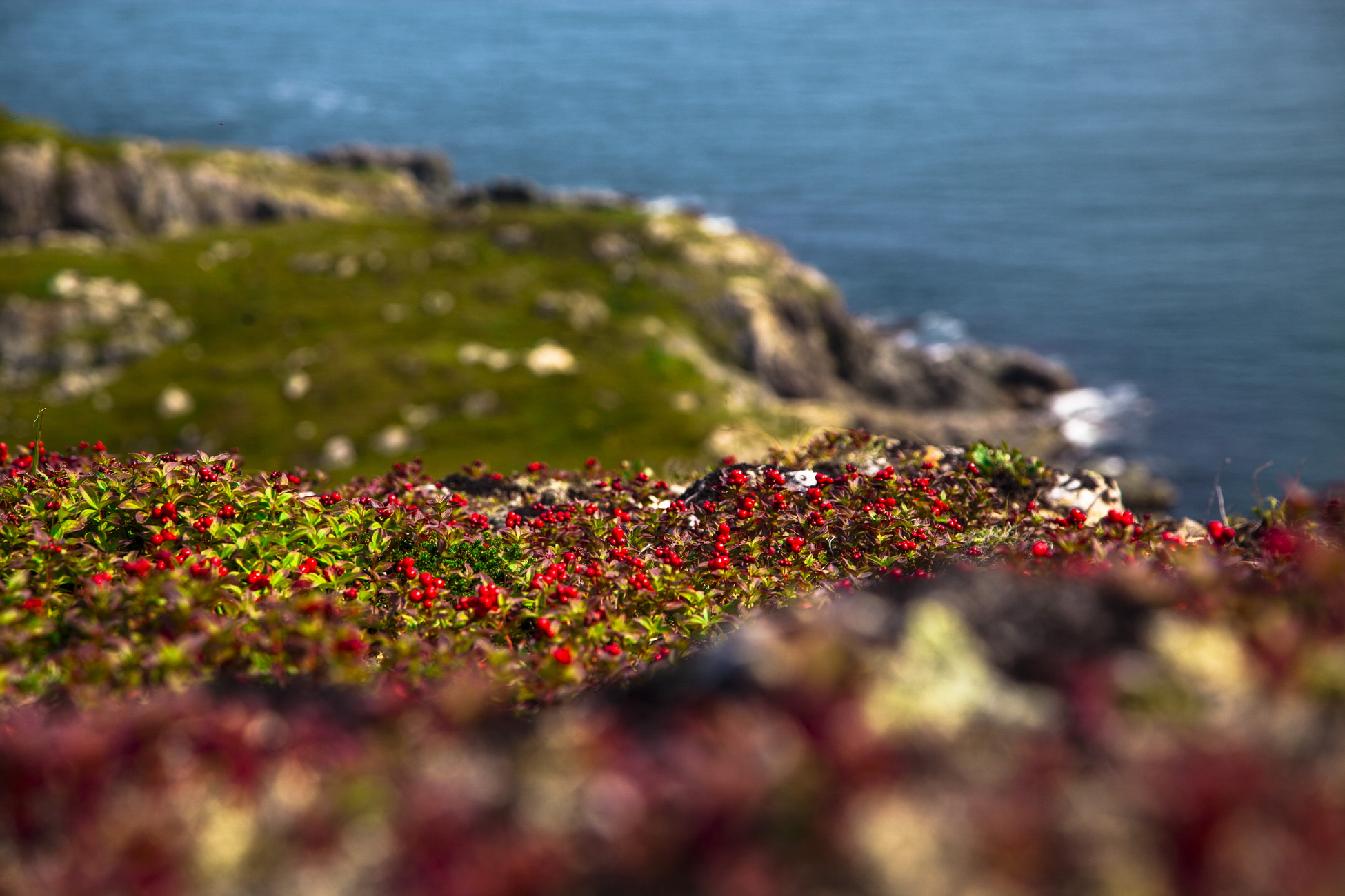 Арктика за неделю: важнейшие темы арктической повестки с 29 августа по 2 сентября