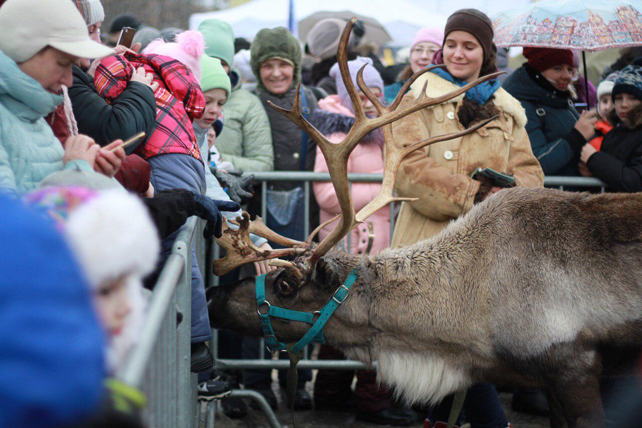 Фестиваль «Добро пожаловать в Арктику» состоялся в Великом Новгороде 