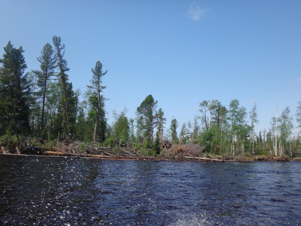 Работа в Арктике: исследования природной среды в Берёзовском и Белоярском районах ХМАО