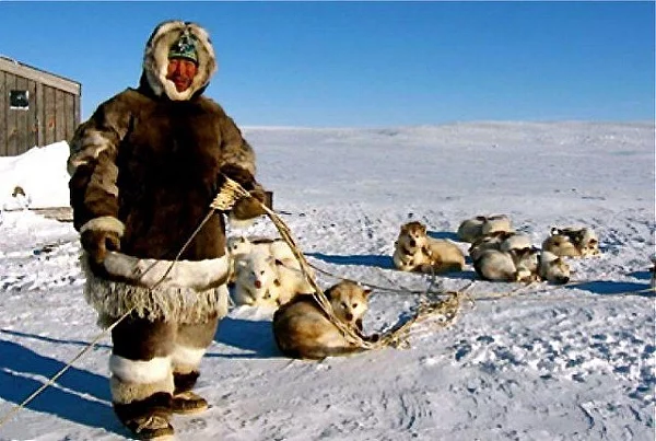 Североамериканская Арктика: как США и Канада работают с коренными малочисленными народами