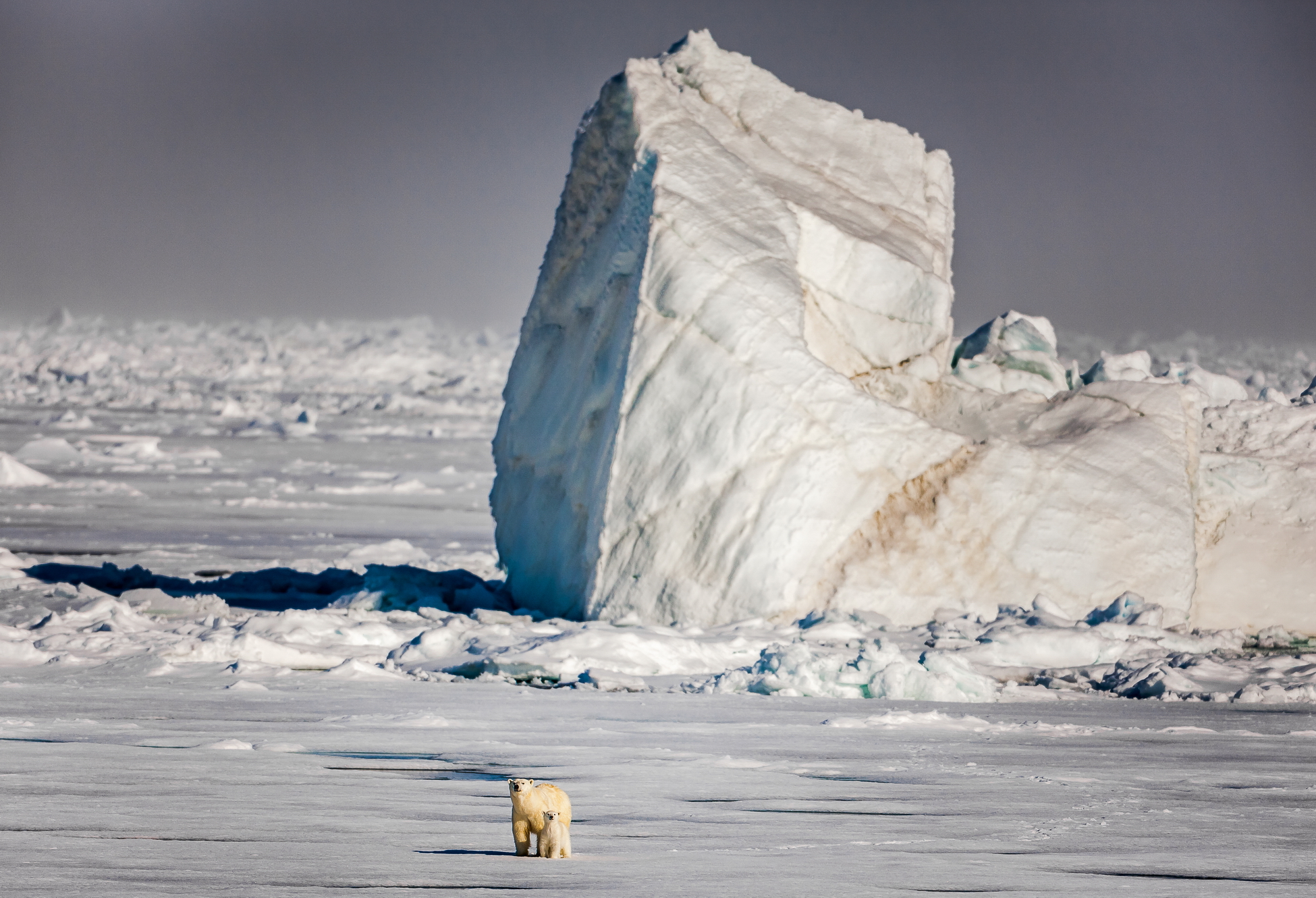 Гренландский лёд – ещё одно «окно в прошлое»