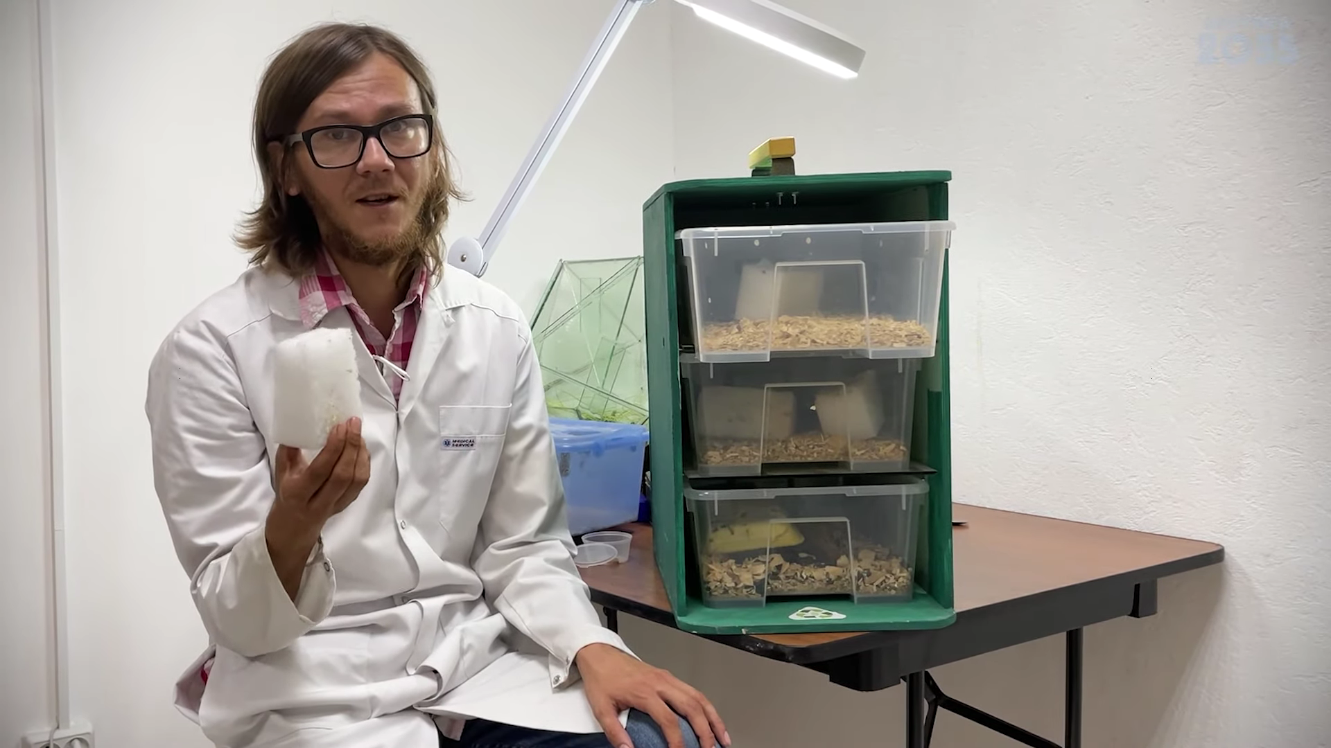 Жуки едят пластик — их научились разводить в Якутии