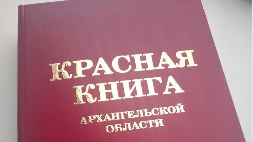 Второе издание Красной книги Архангельской области вышло из печати