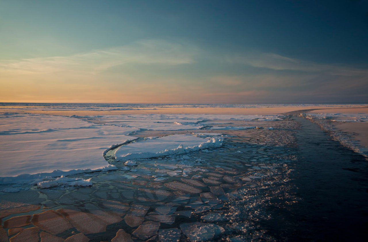 Потепление климата приведёт к росту массы водорослей в Арктике
