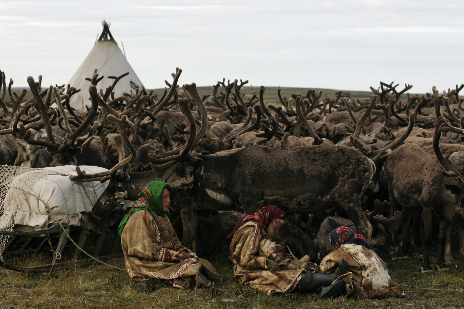 На Ямале обсудили опыт поддержки коренных малочисленных народов Севера