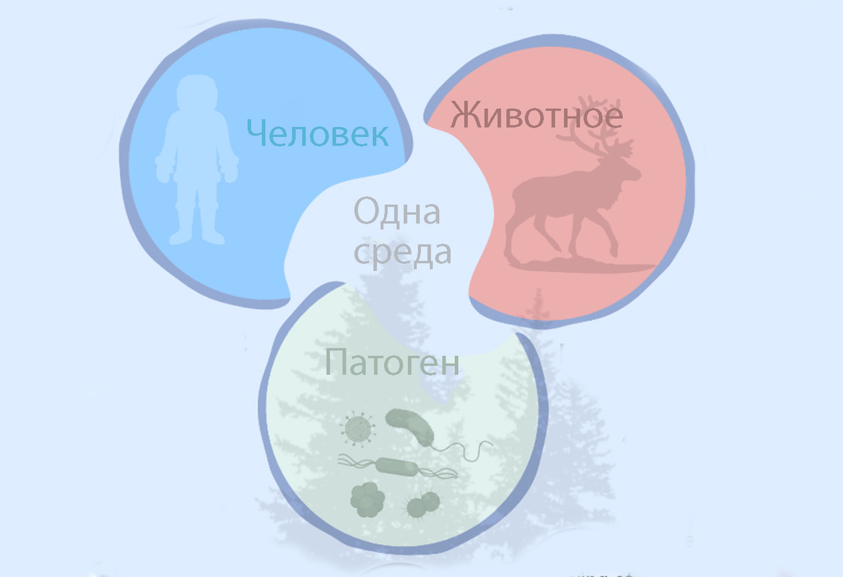 Кликбейт от учёных: таяние льдов в Арктике высвобождает вирусы и бактерии, грозит зоонозными инфекциями и пандемией Кликбейт от учёных: таяние льдов в Арктике высвобождает вирусы и бактерии, грозит зоонозными инфекциями и пандемией