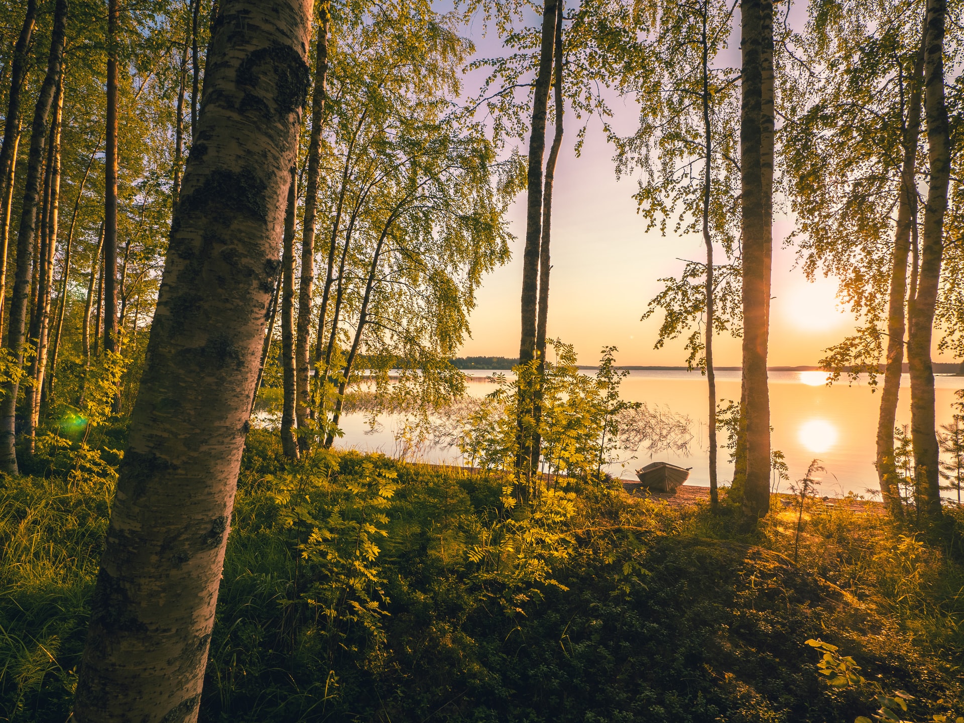 В диких сопках и болотах арктической Финляндии появился национальный парк