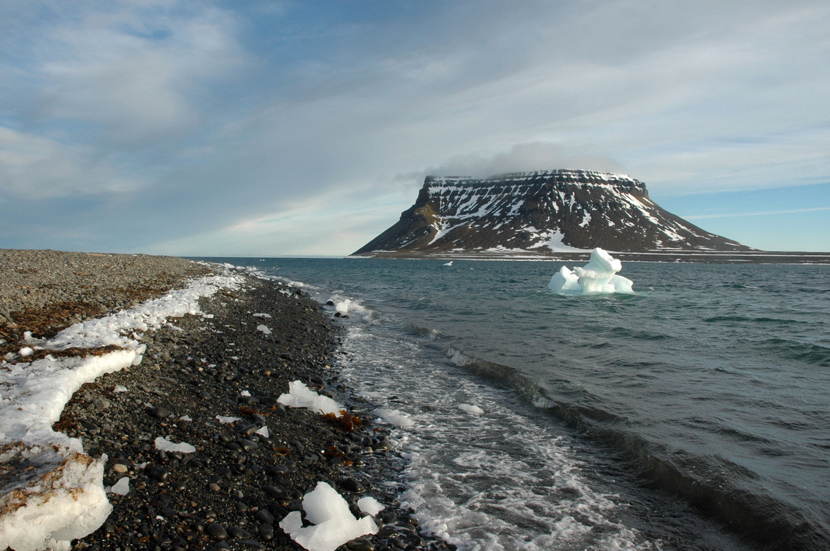 В высокоширотной Арктике найдены полюса потепления