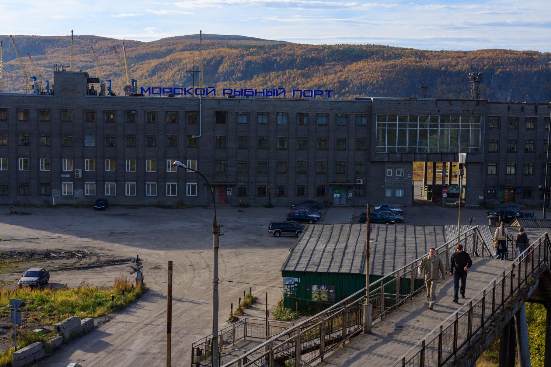 Грузооборот в Мурманском морском рыбном порту достиг 66 000 тонн