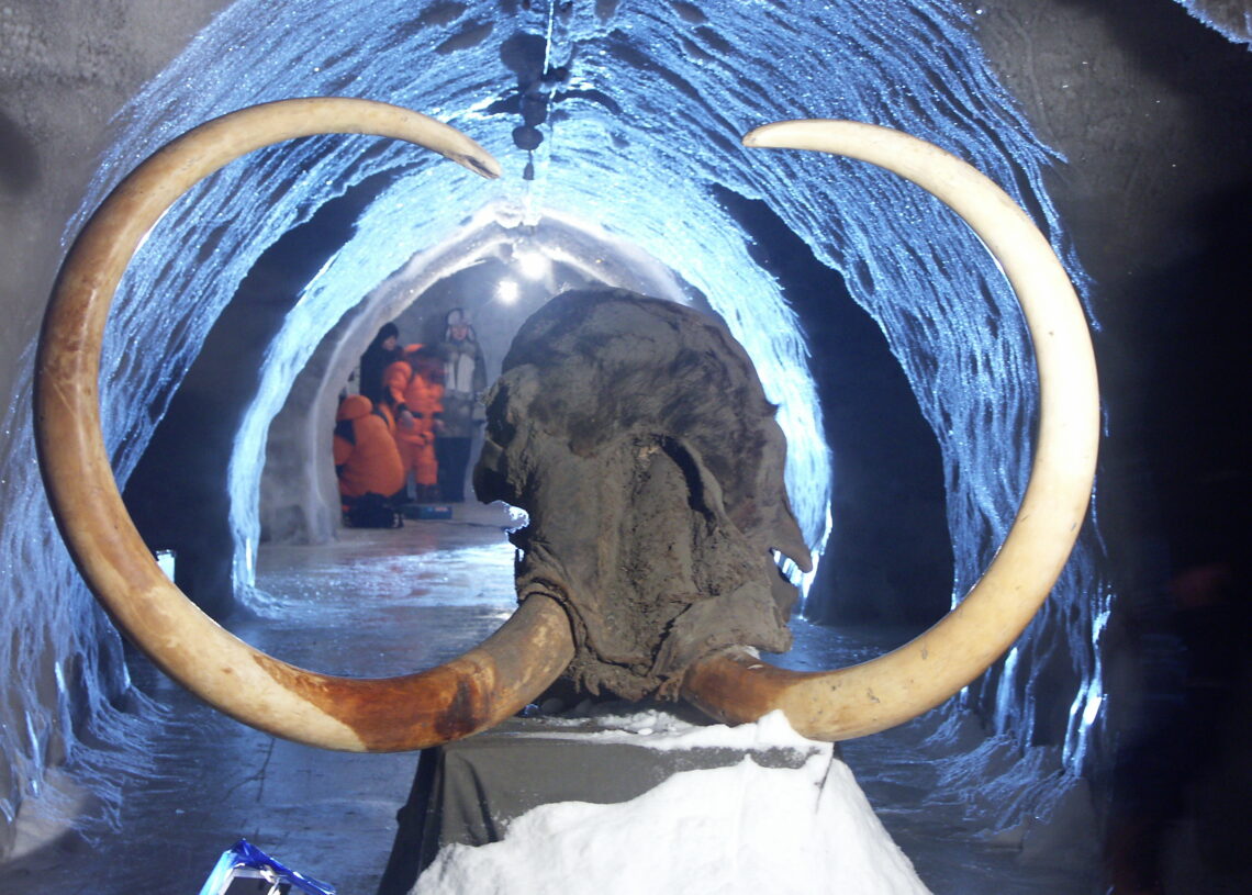 Всемирный центр мамонта появится в Якутии