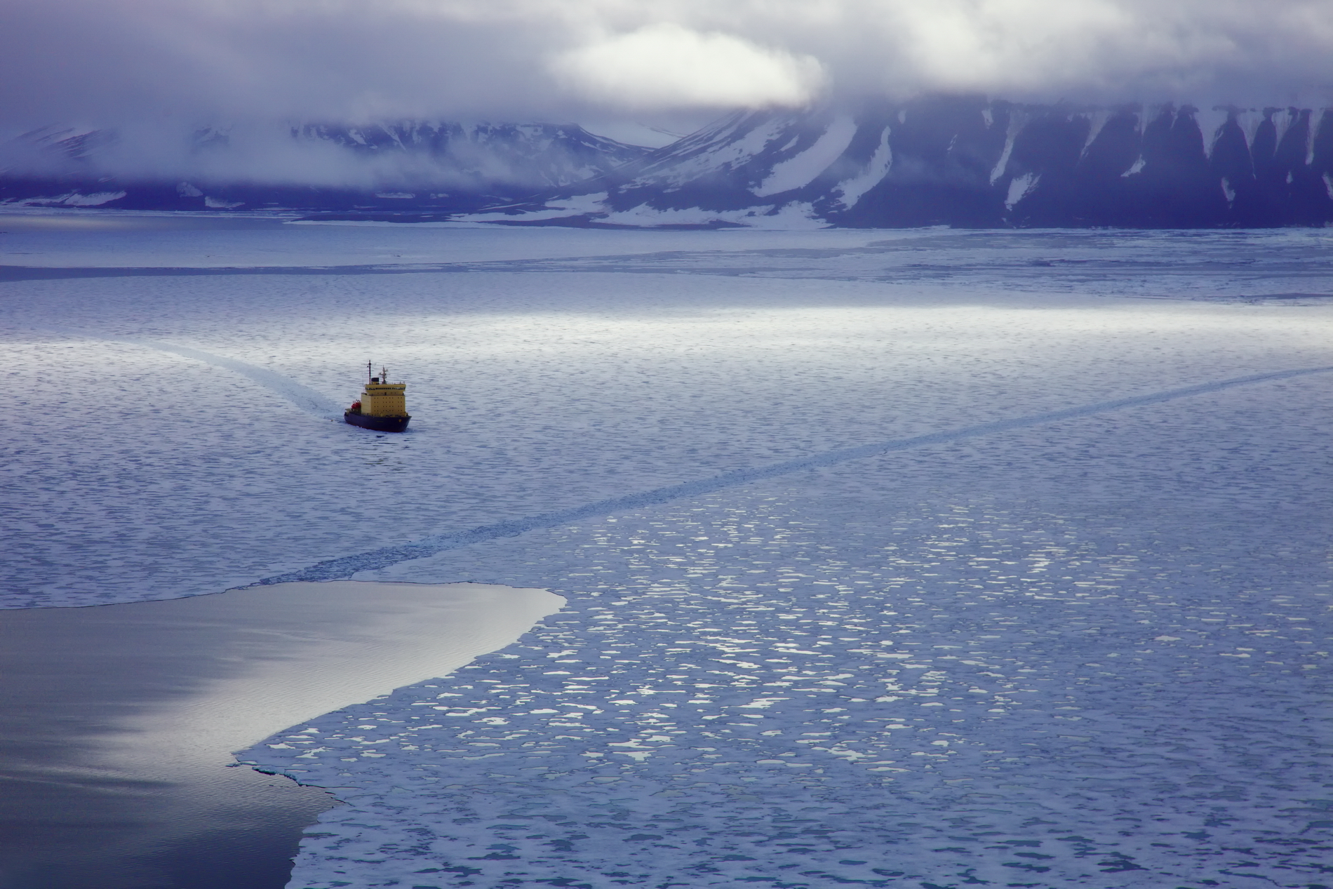 Арктика за неделю: реформа, атомоходы и богатства недр
