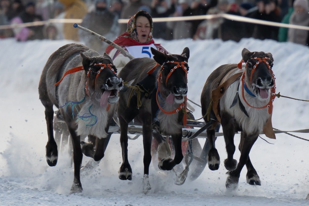 «Праздник Севера» – 2025