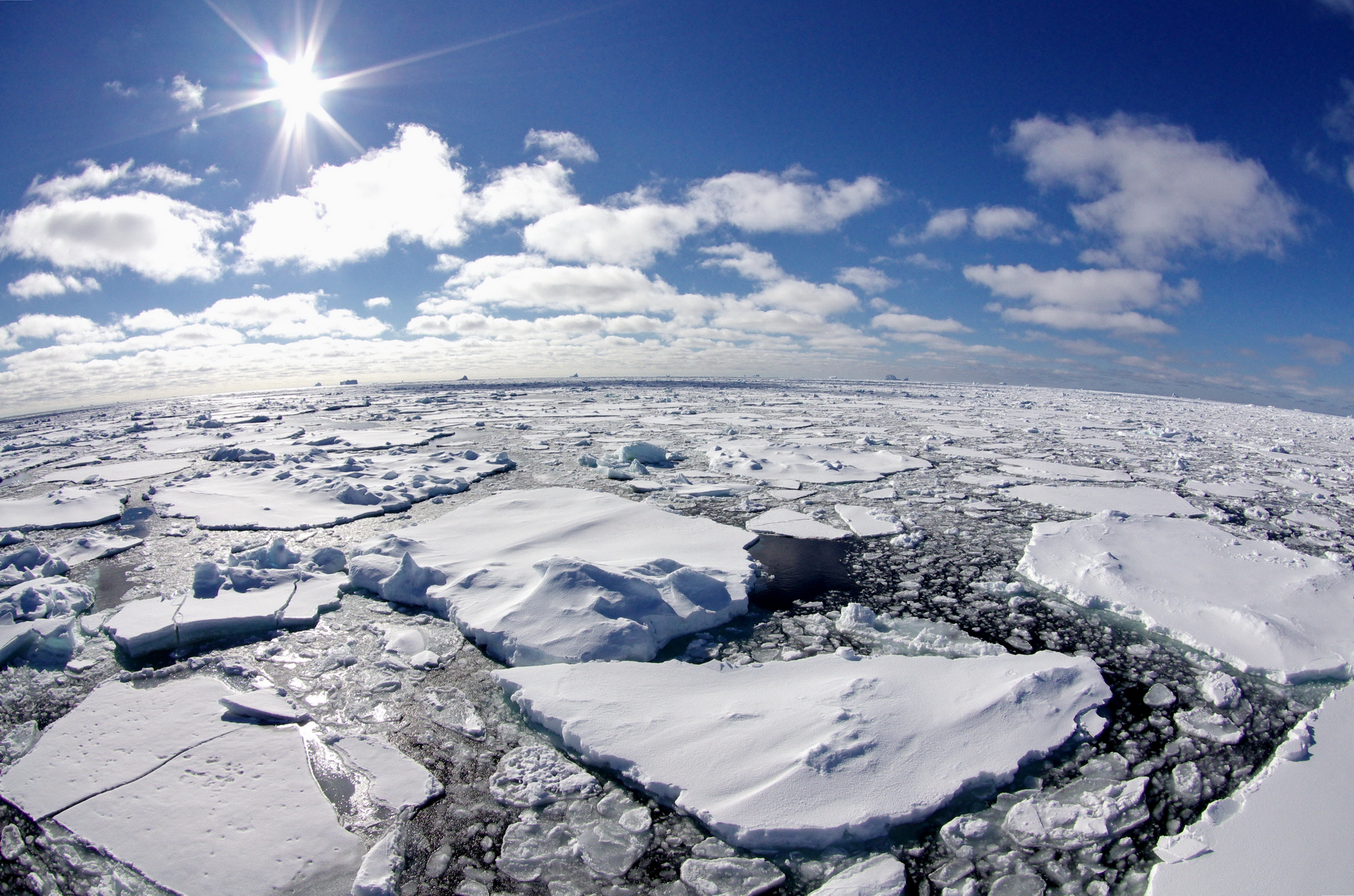 Арктика сегодня: газовозы, электроэнергия и международный форум