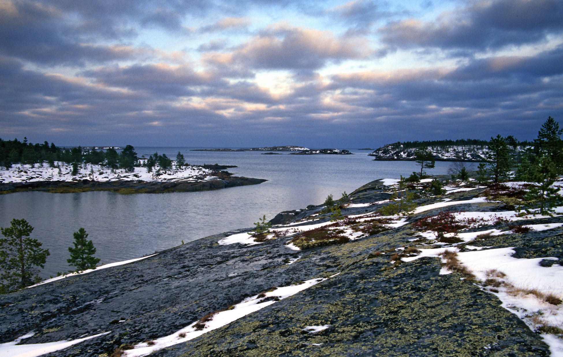 Арктика за неделю: важнейшие темы арктической повестки с 13 по 17 февраля