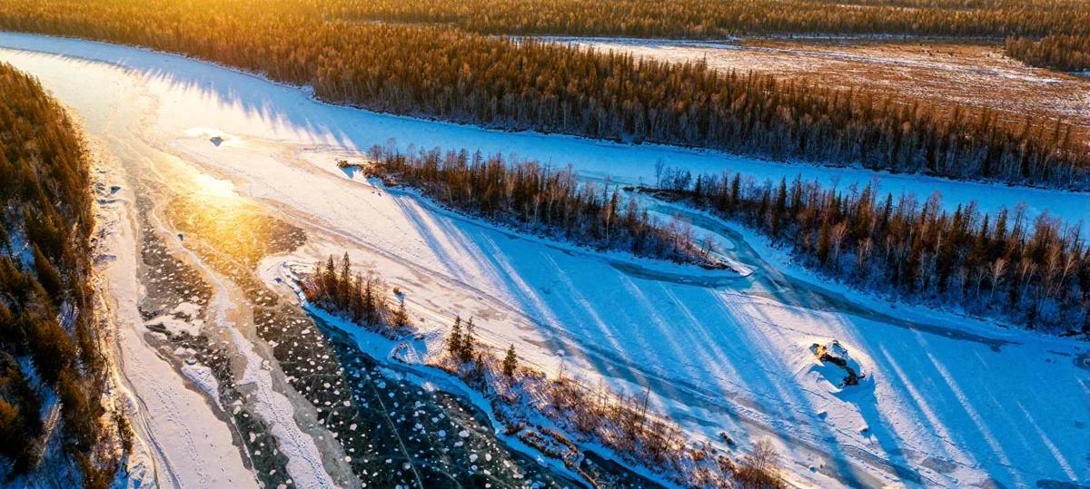 ПОРА планирует реализовать лесоклиматический проект в Якутии