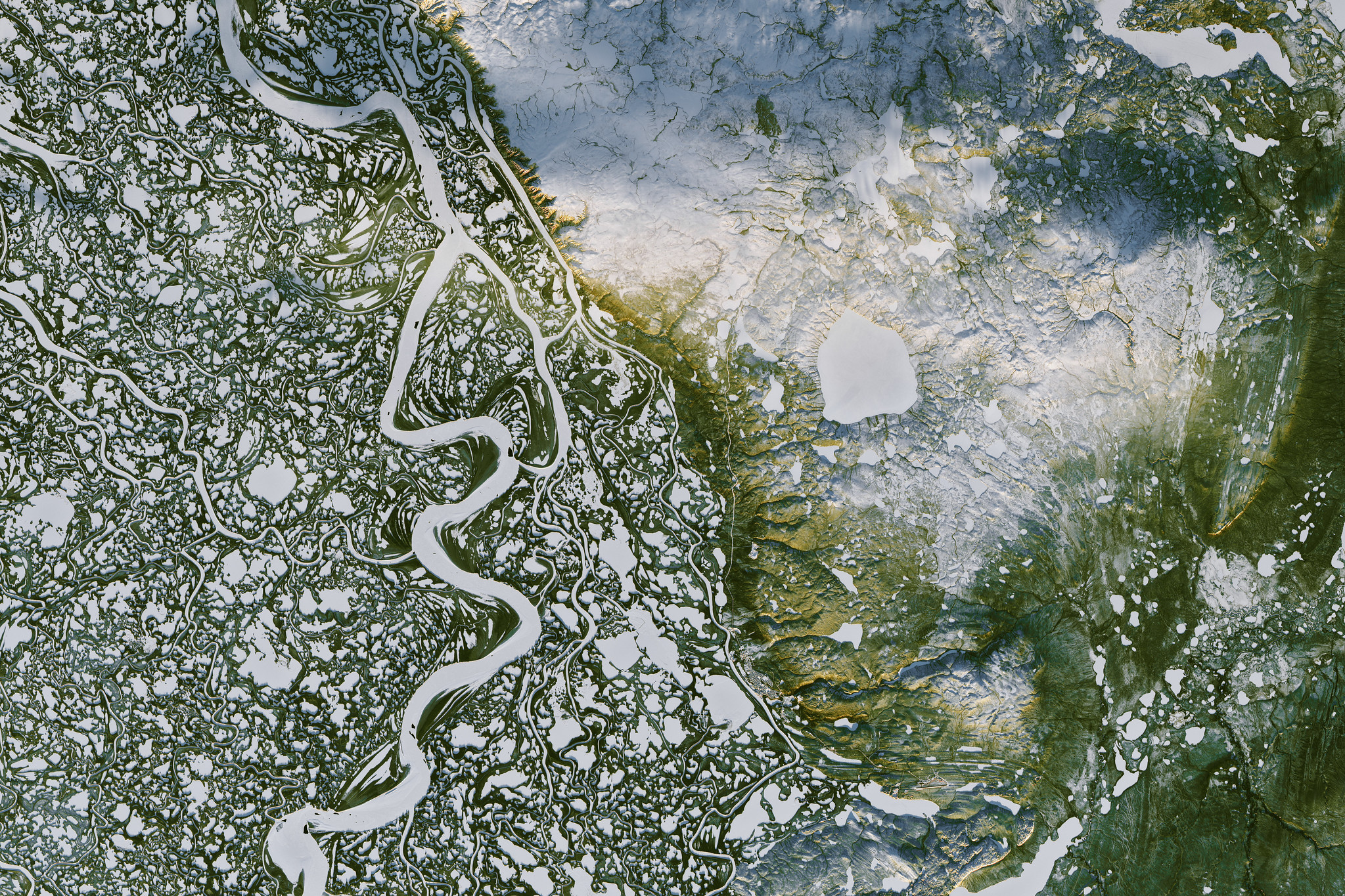Расширение ареала ивы спасает от эрозии реки в Арктике