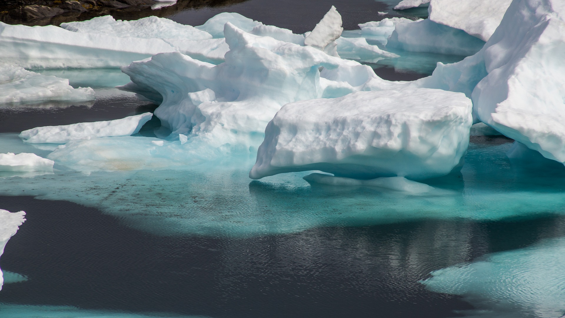 Площадь Арктического ледяного покрова значительно сократилась
