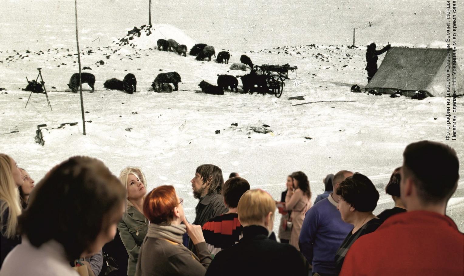 Выставка «Выходим на Северную Землю» открыта в Музее Норильска