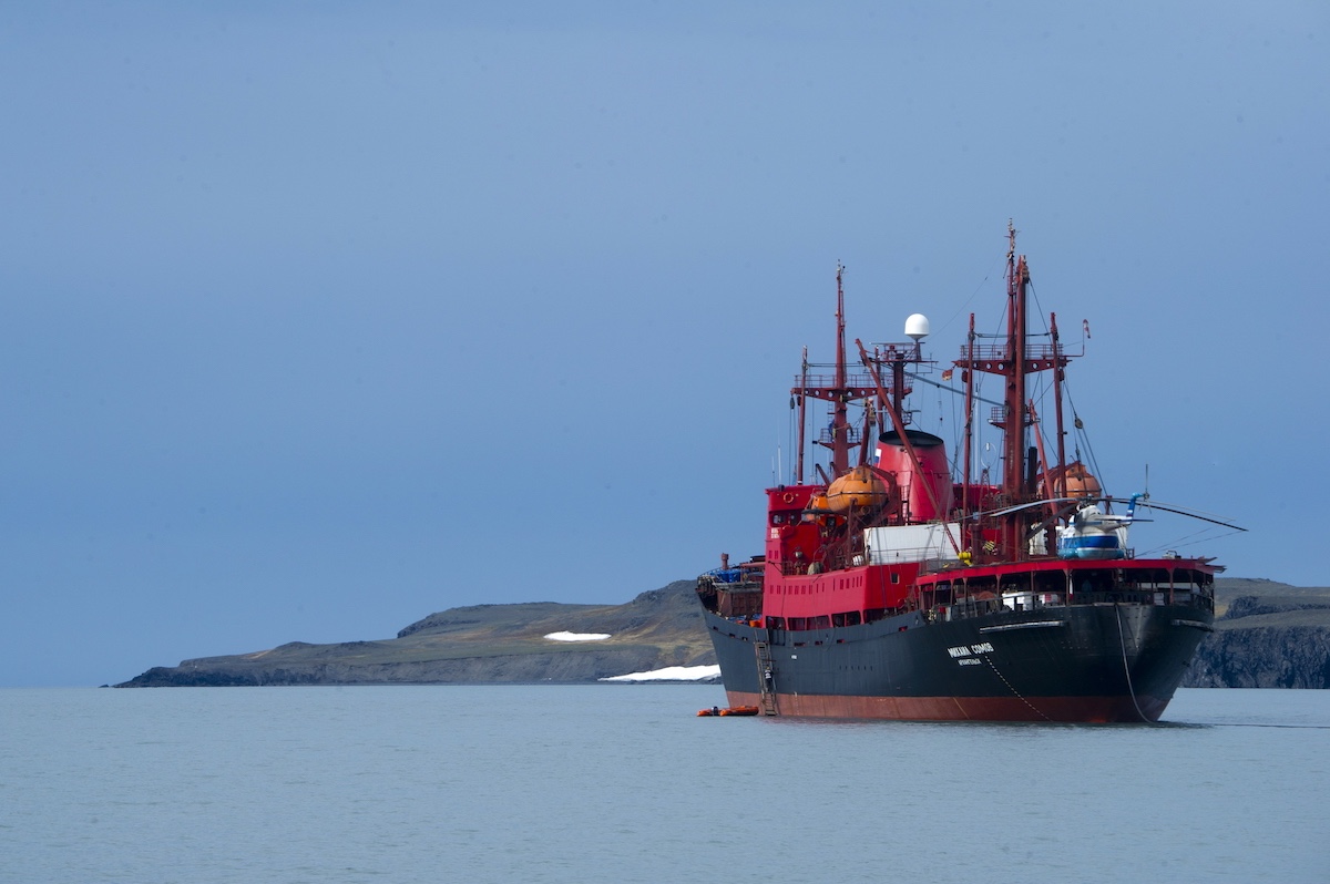 Что снится легендарному судну «Михаил Сомов», Мосееву острову и другим героям фильмов Ольги Лаптевой, которую «зацепил Север»?