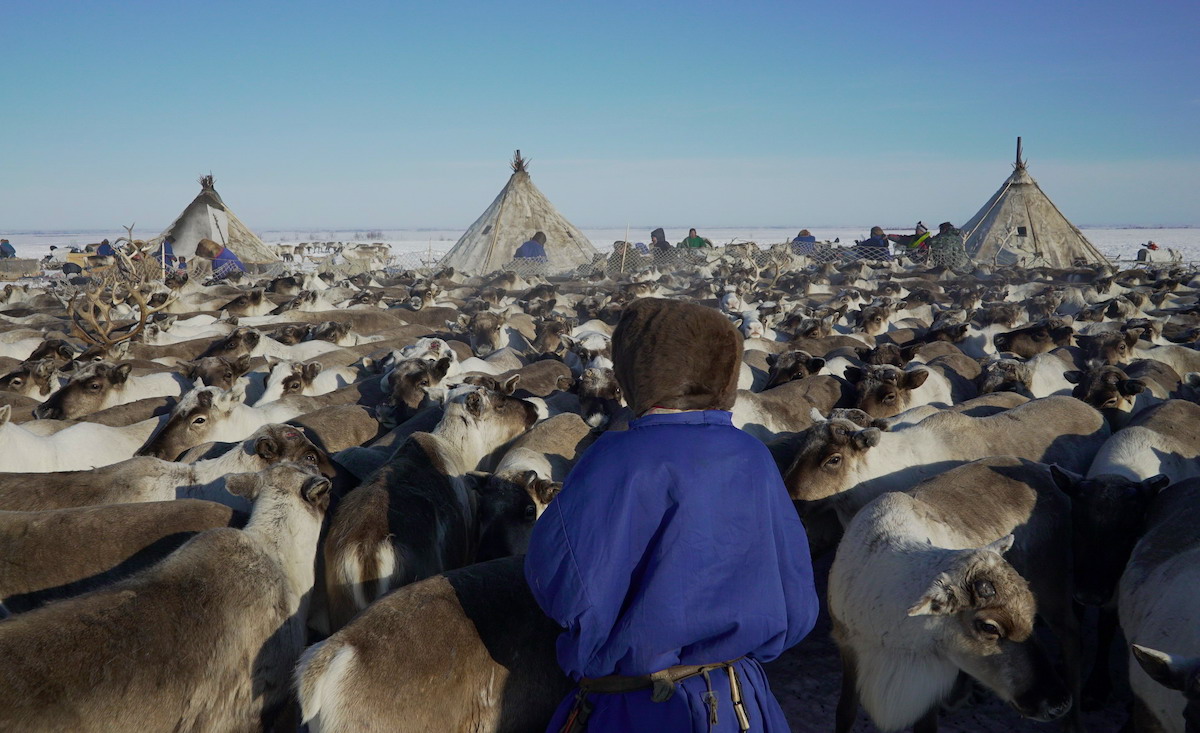 В Красноярском крае  утверждена госпрограмма поддержки коренных малочисленных народов  на 2026-2028 годы