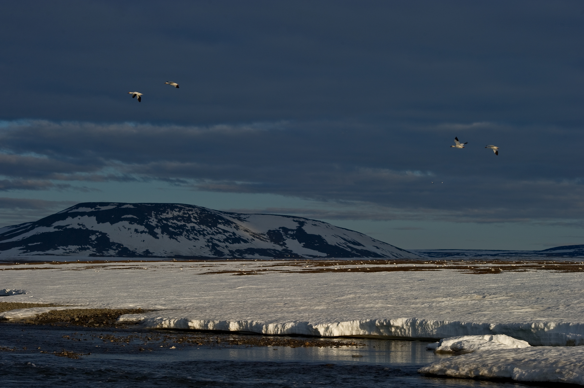 ПОРА откроет доступ к архивным материалам по арктической геологоразведке