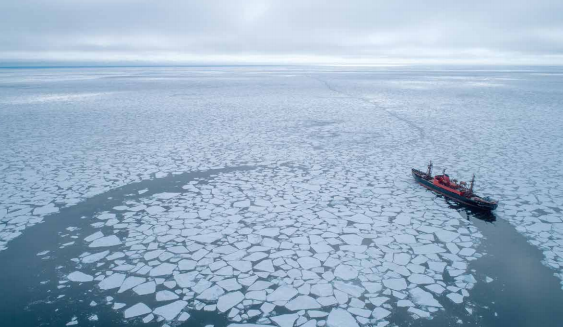 Морские коровы, ледяные архипелаги, неустаревающие идеи