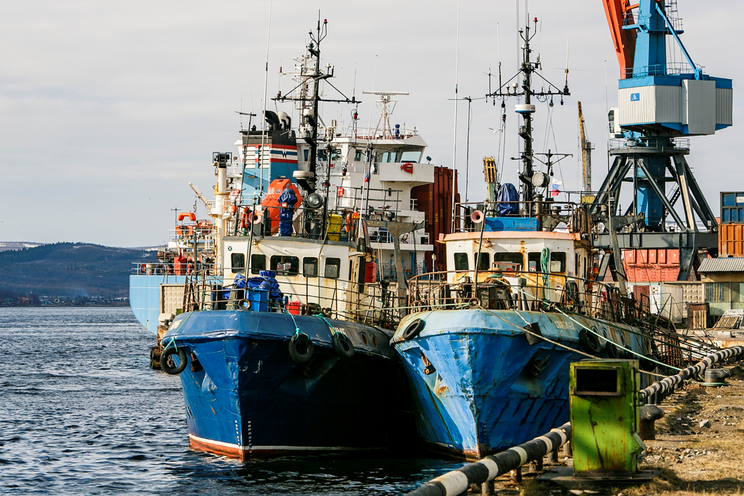 Проект изменений в закон «О любительском рыболовстве» направлен в правительство
